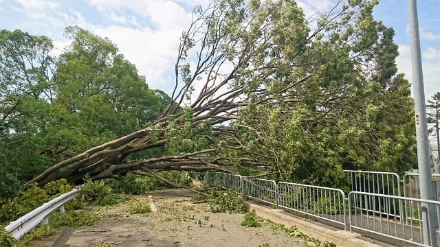 【家の台風対策】最低限準備しておきたい10項目の対策はこれ！